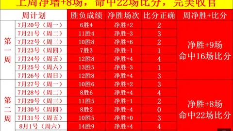推荐 足球攻略周四002西甲对决解析：巴列卡诺对阵阿拉维斯，指南